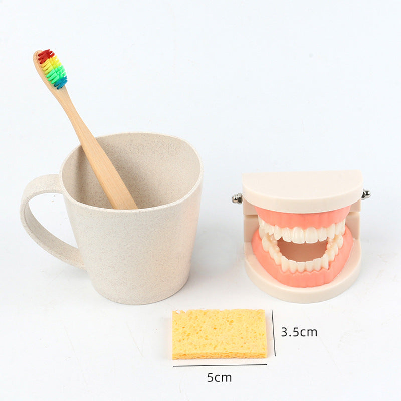 Montessori Dental Playset