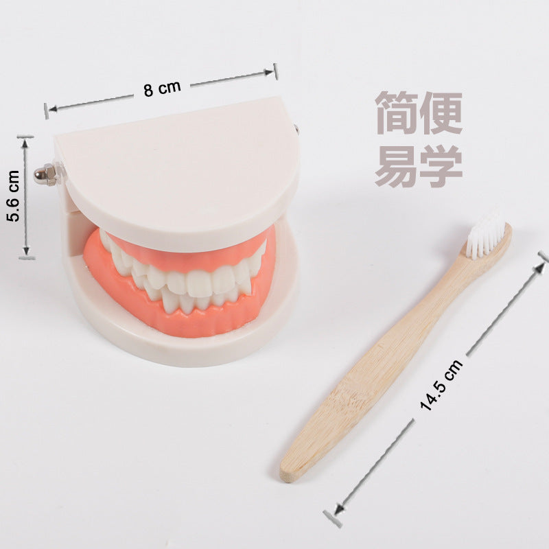 Montessori Dental Playset