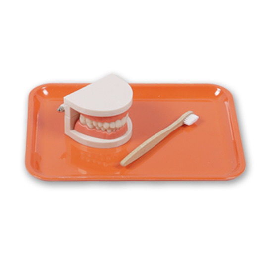Montessori Dental Playset