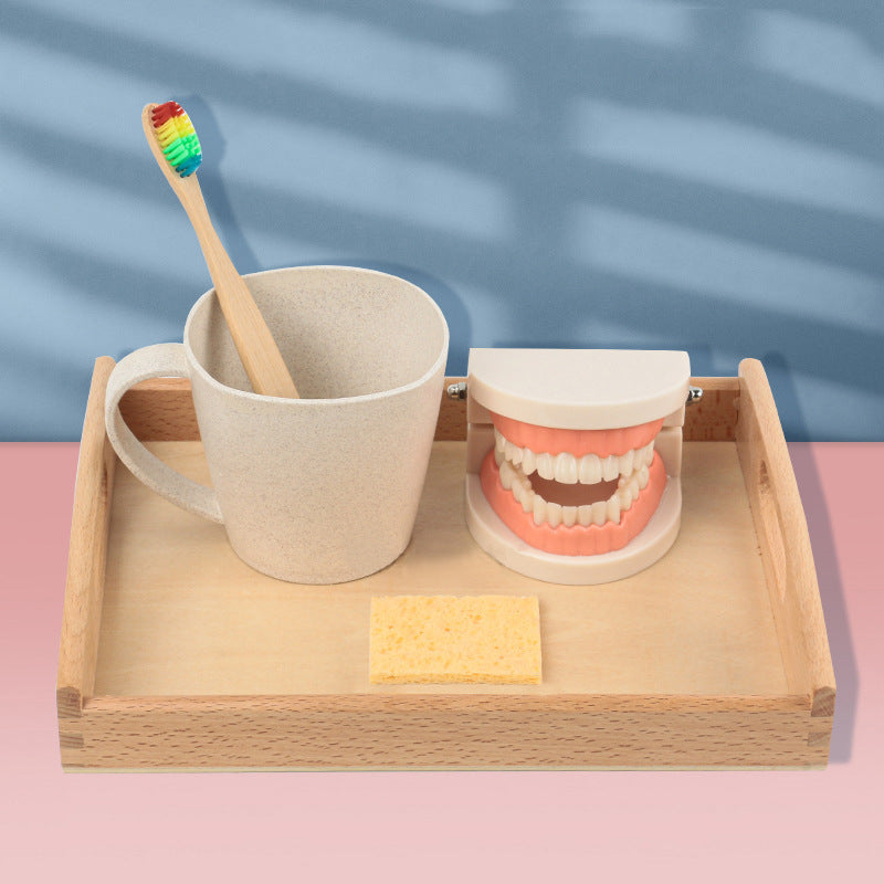 Montessori Dental Playset