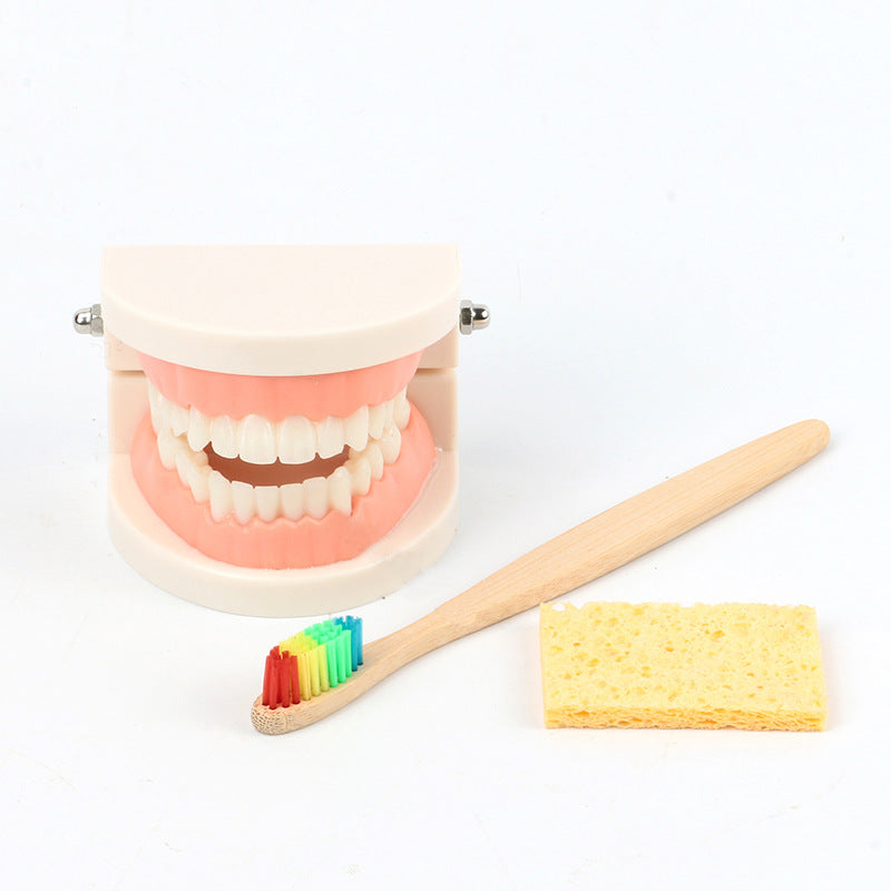 Montessori Dental Playset