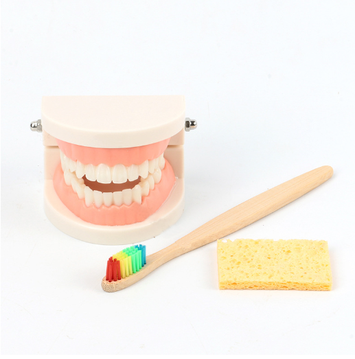 Montessori Dental Playset