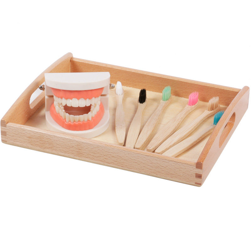 Montessori Dental Playset