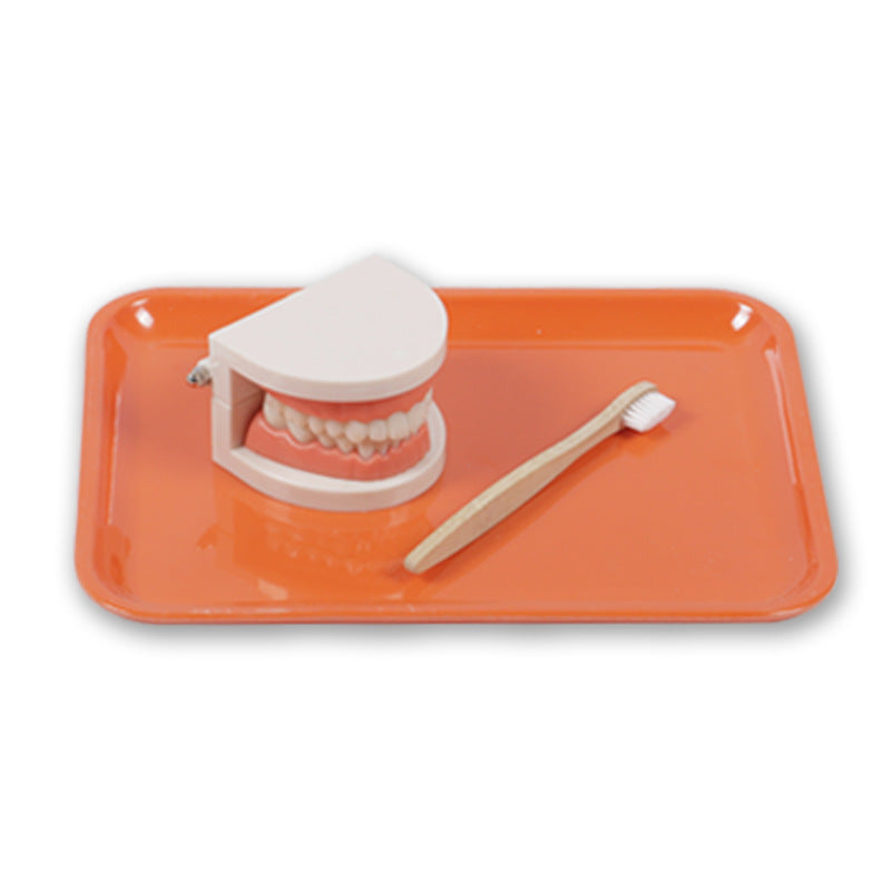 Montessori Dental Playset