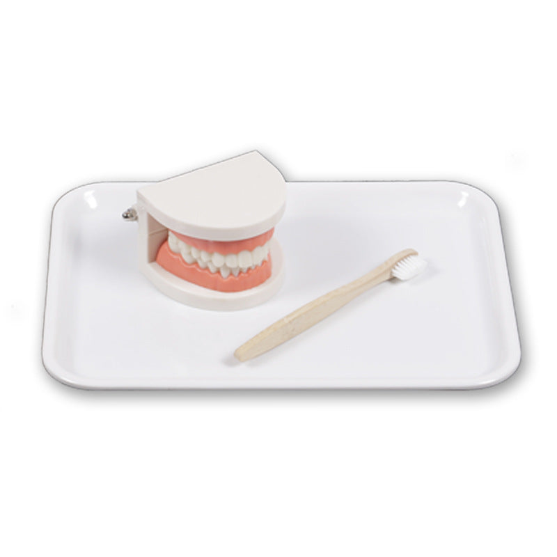 Montessori Dental Playset